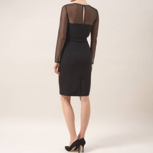 Hobbs London | Fitted Crepe and Lace Dress - Picture 3 of 14